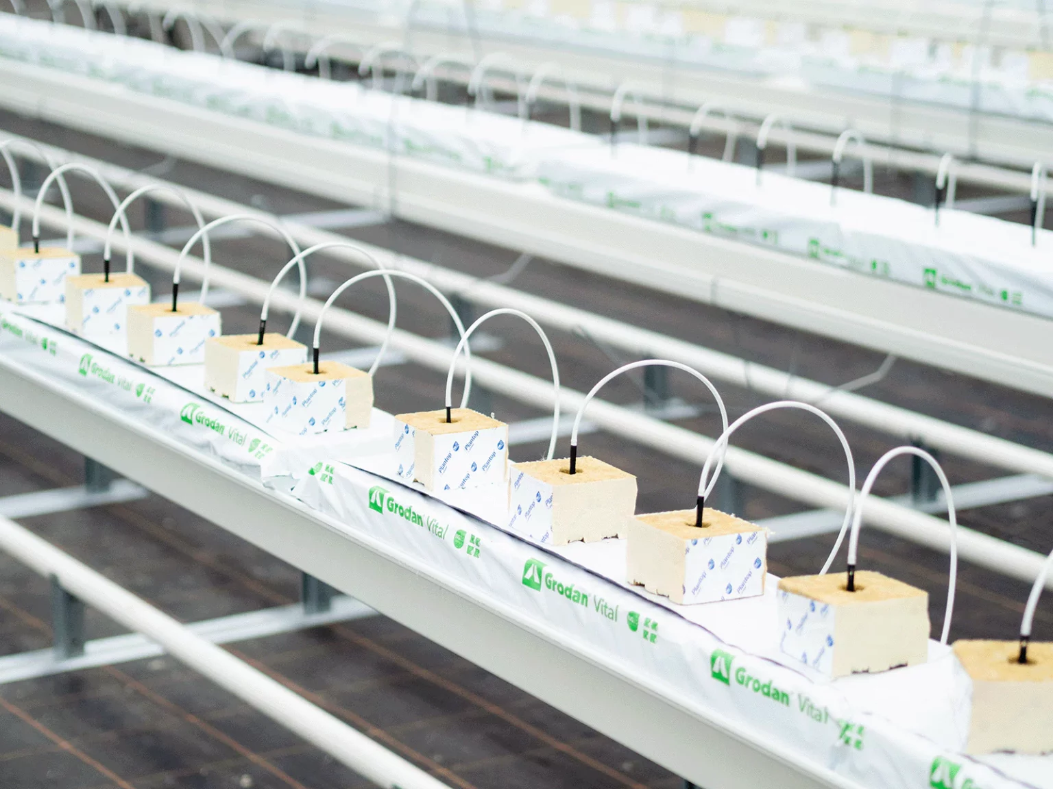 Demokas-03-1600px-Metazet