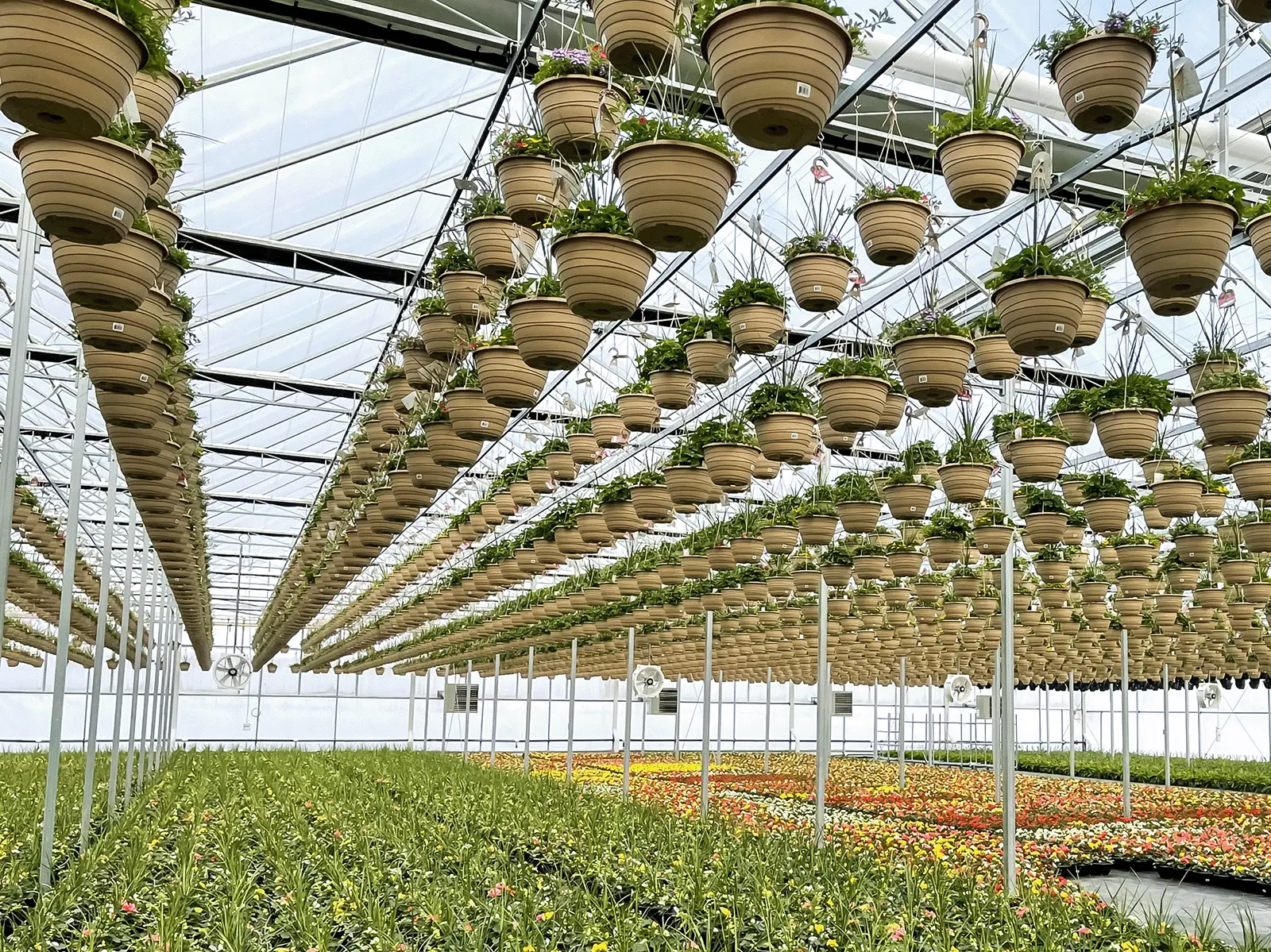 Hanging basket system