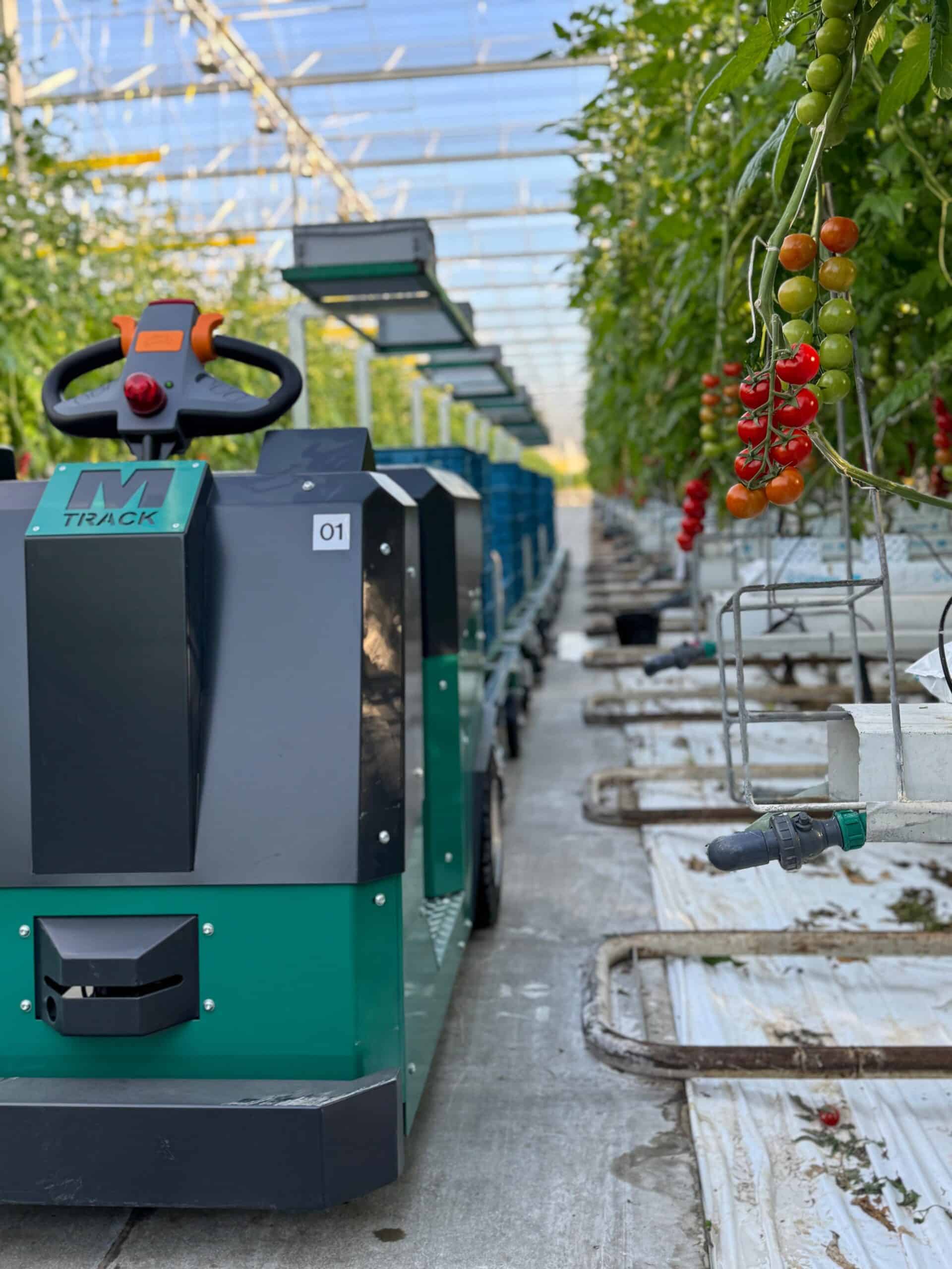 The Valley De Lier automatiseert oogstlogistiek met M-Track systeem van Metazet