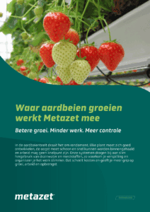 Voorkant aardbeien