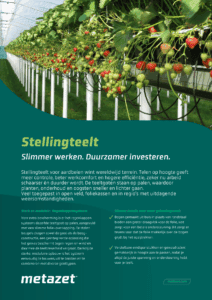 Voorkant stellingteelt